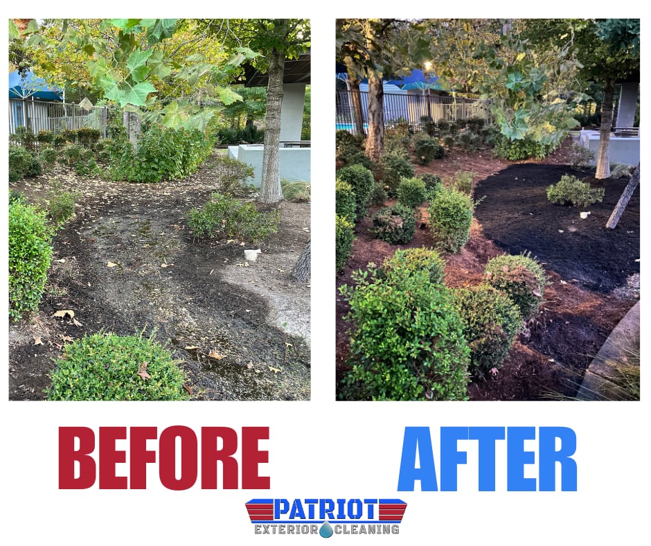 Flowerbed Before and After