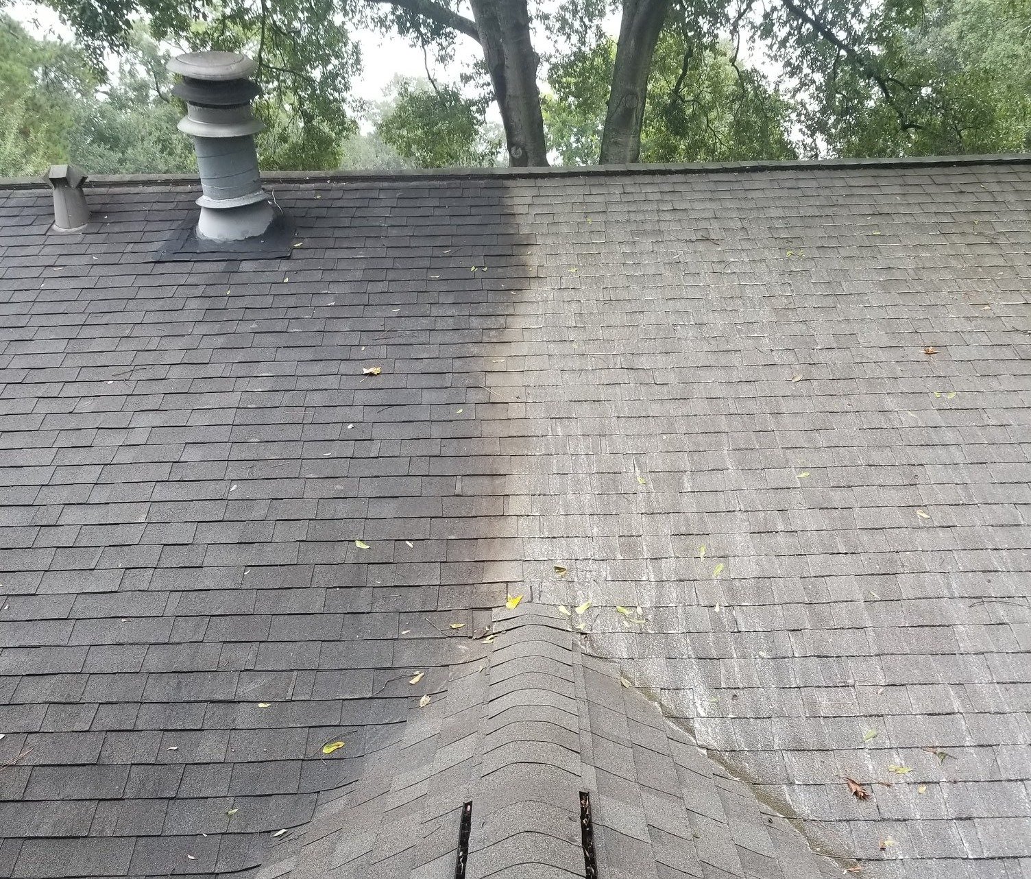 Contrast Roof Washing 