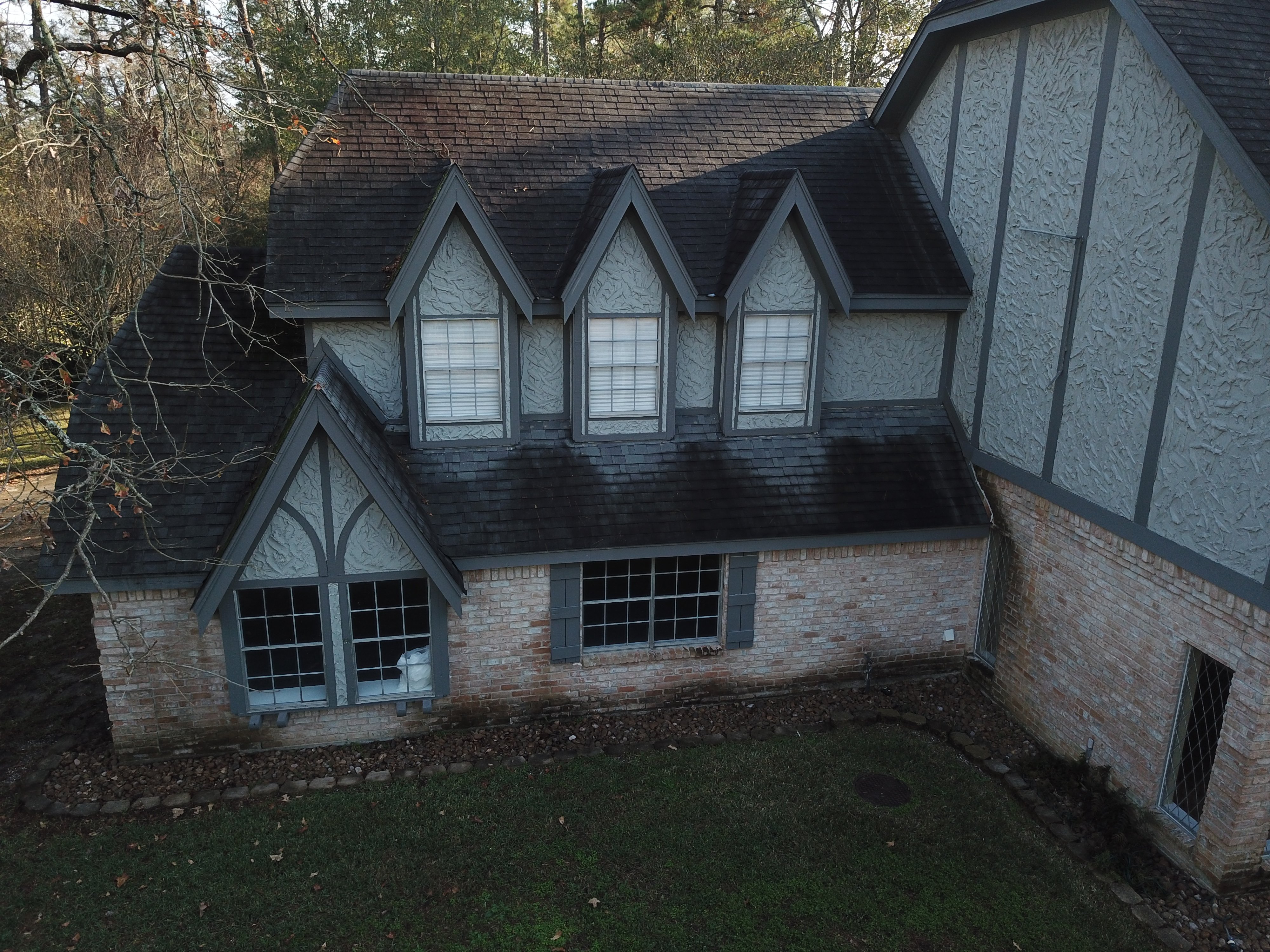 Shingles Before Cleaning 