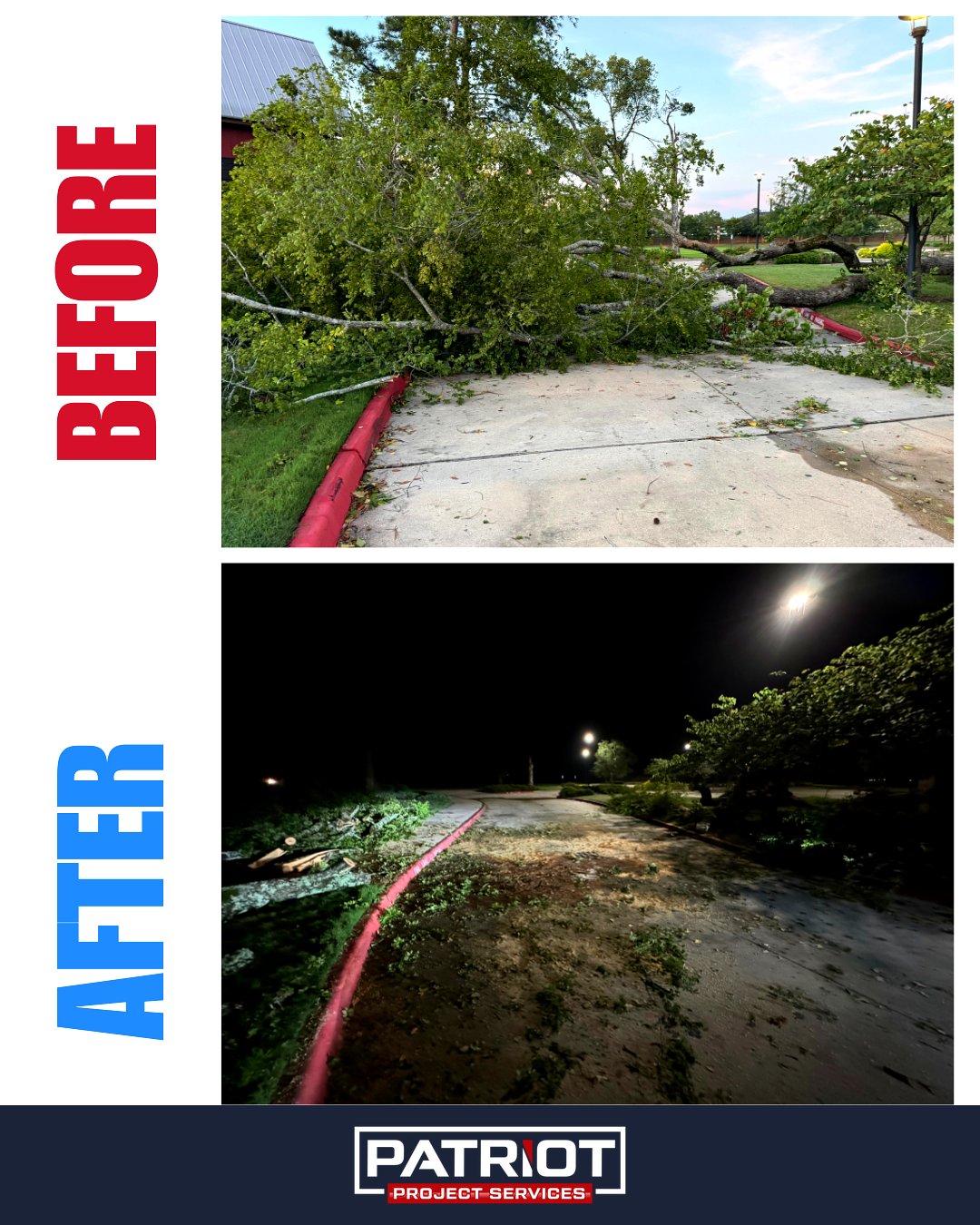 Tree Clearing Before and After 